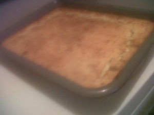 sardyne en rys pastei