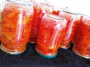 peppadwes dirkie