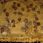 koffie cream elsabe